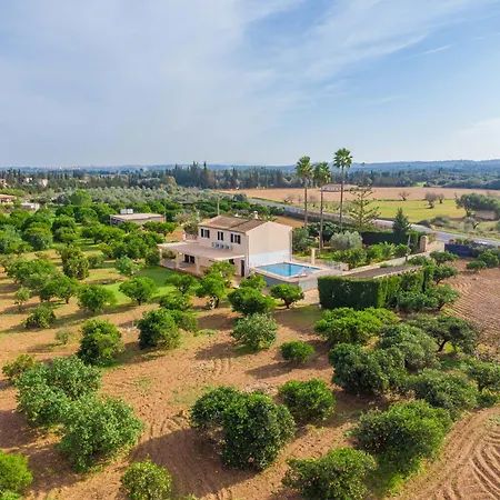 Villa Rafelino Llubi