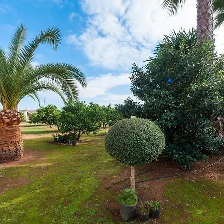 Villa Rafelino Llubi